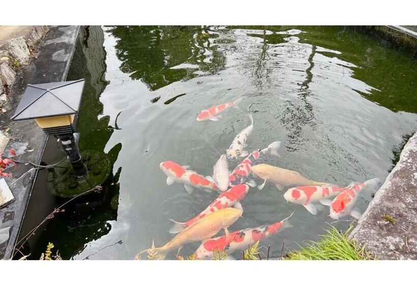 بنسيون Koiya   Vacation Stay 04646v