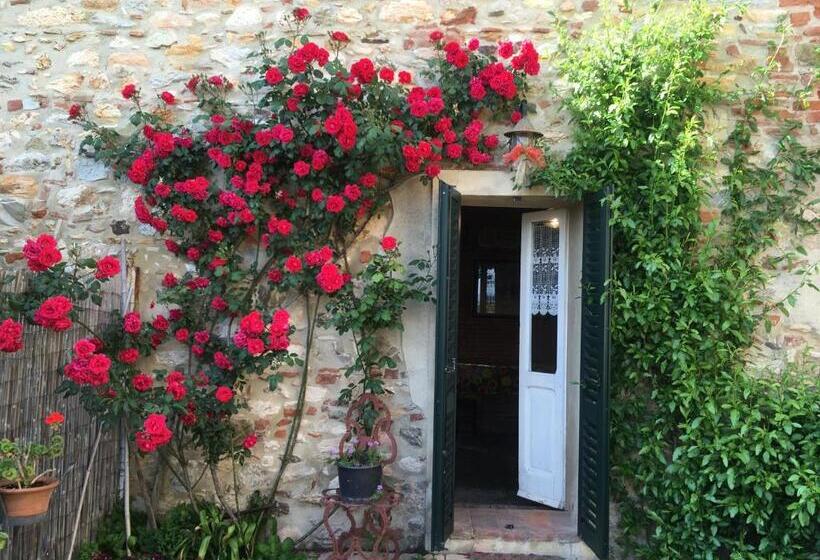 פנסיון La Corte Di Ardengo