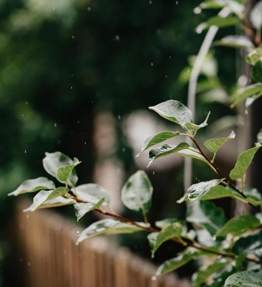 ペンション Restaurant A Penzion Na čechách