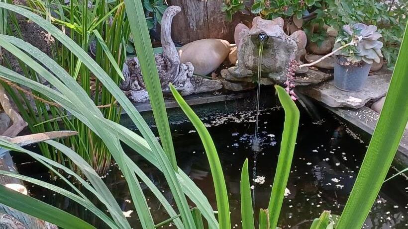 펜션 Villa Benvengudo