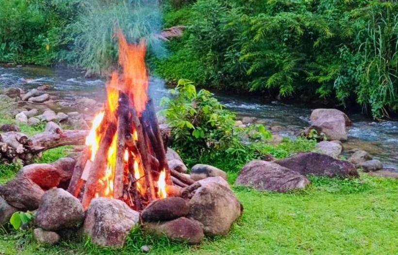 민박 The Creek Haus