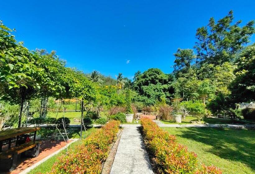 민박 The Creek Haus