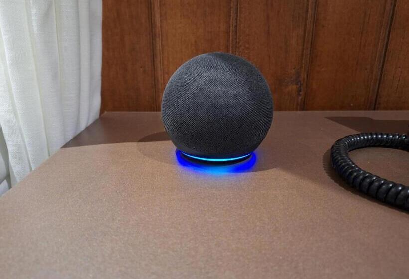 ホテル Cantos E Contos Boutique