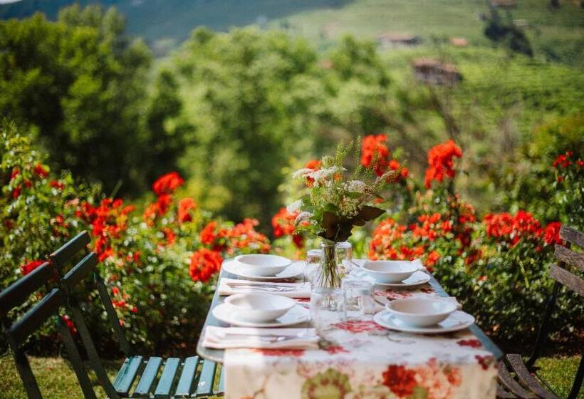 Отель Casa Callonga