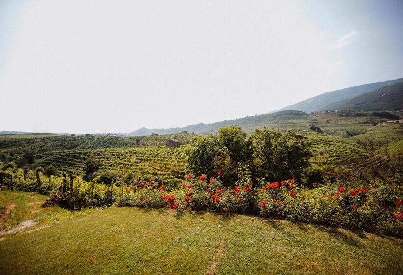 Отель Casa Callonga