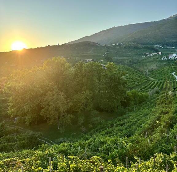 Отель Casa Callonga