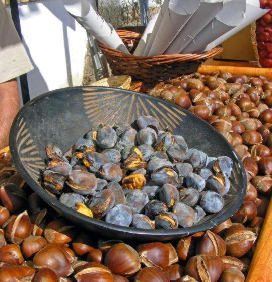 ホテル Casa Rural Veleta Con Piscina Y Barbacoa Murtas Granada Espana