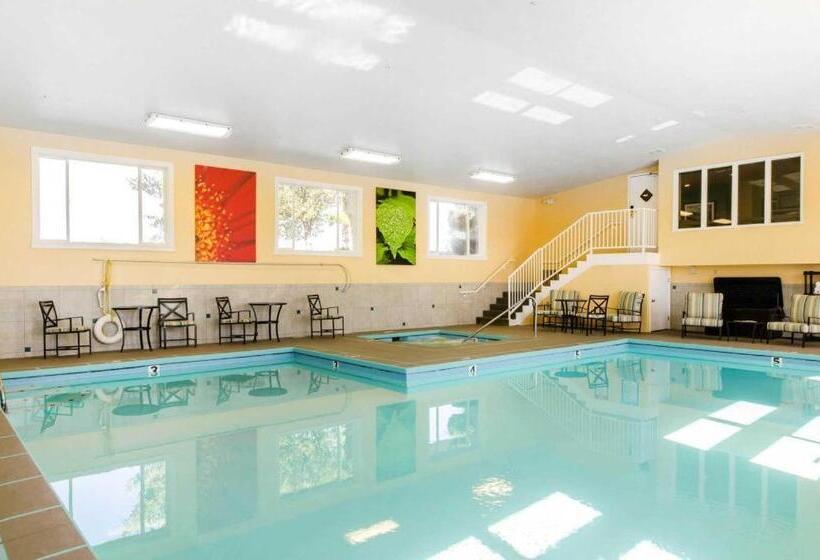 فندق Comfort Inn & Suites