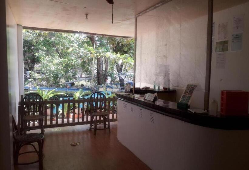 هتل Dandal Bay View Inn   Twin Beach