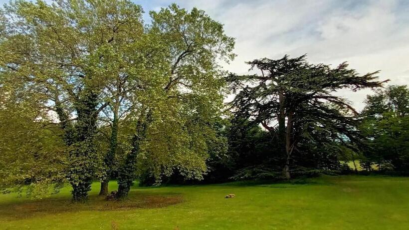 فندق Domaine De La Tremblère