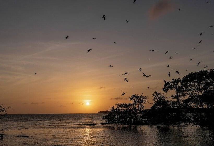 Pao Pao Hotel & Beach Club