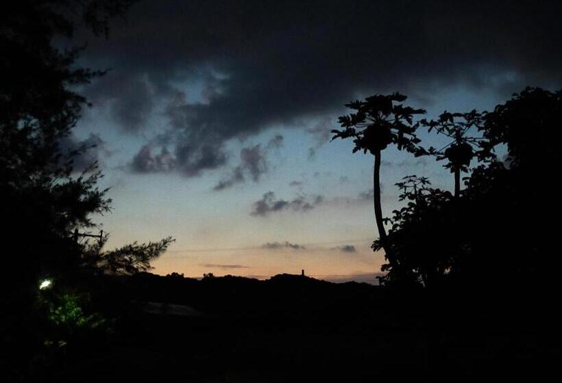 Пансион 奄美ゲストハウス宇宿サンライズビーチ