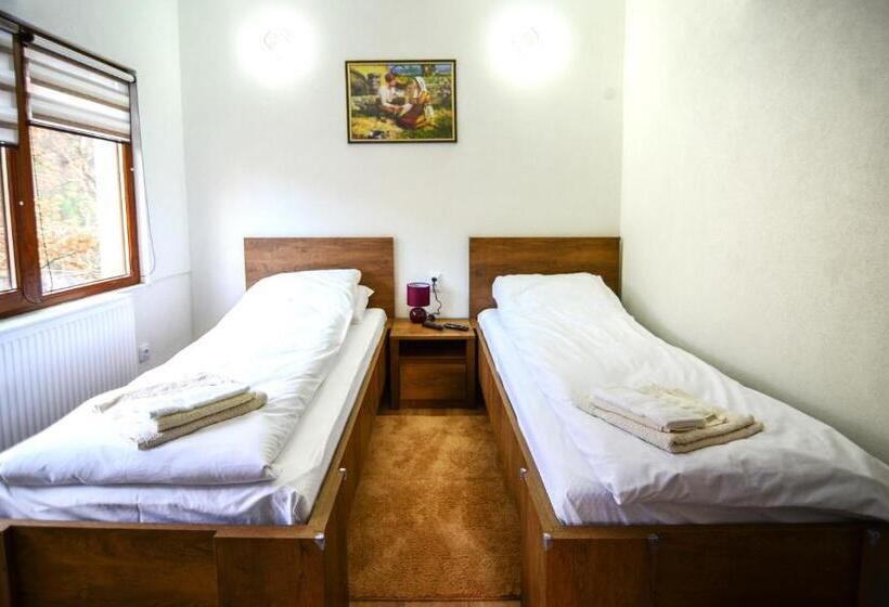 پانسیون стаи за гости ингилизовата къща