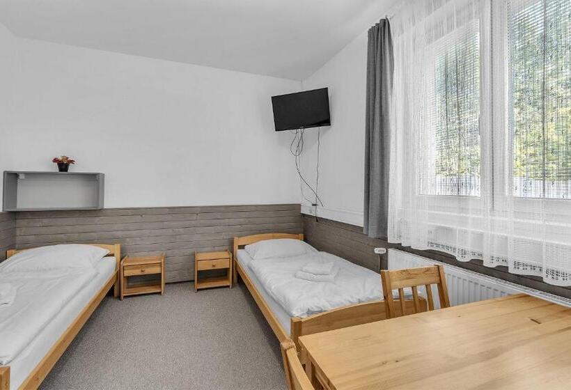 پانسیون Apartmány A Ubytování Přemyslova, Hradec Králové
