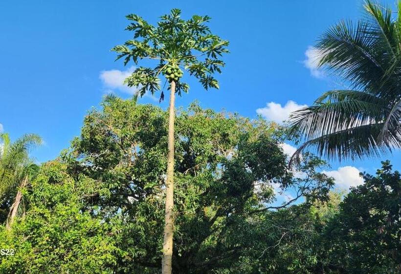 膳宿费 Casa De Visitas Da Chácara Refrigerio