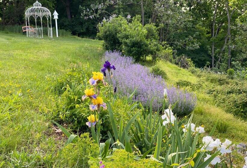 Пансион La Soledad Lavender Farm And Guesthouse