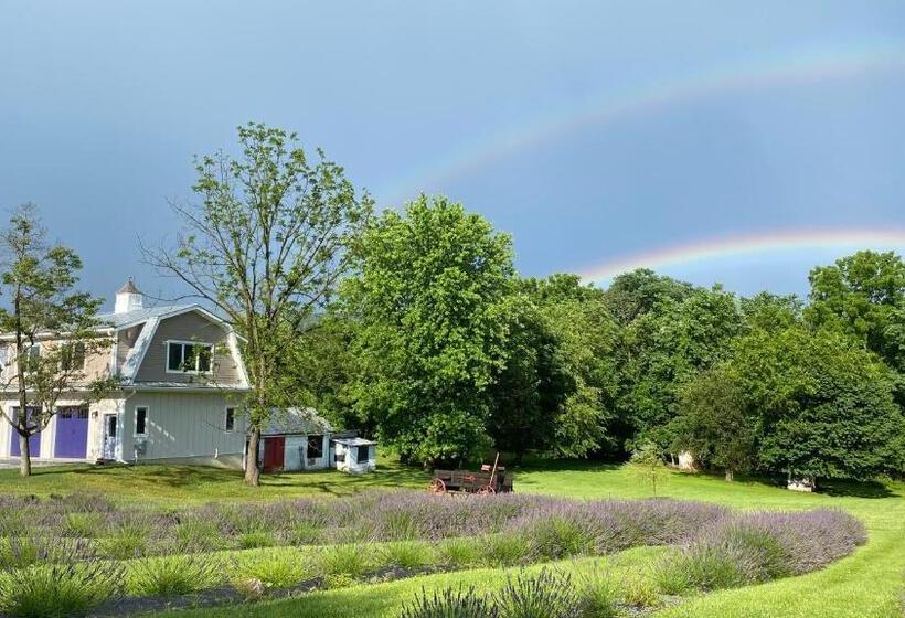 Пансион La Soledad Lavender Farm And Guesthouse