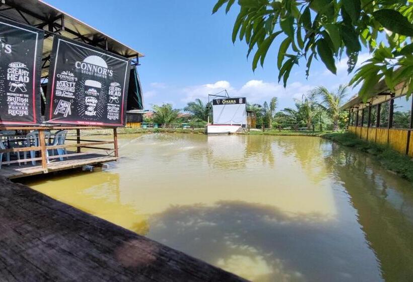 膳宿费 Ovilla Home B&b