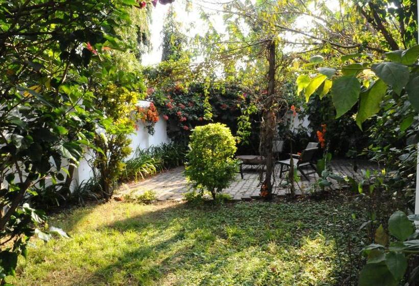 Пансион Oya Guest House