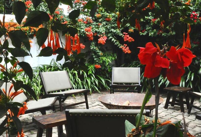 Пансион Oya Guest House