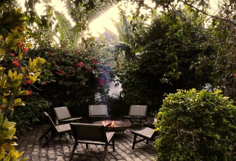 Пансион Oya Guest House