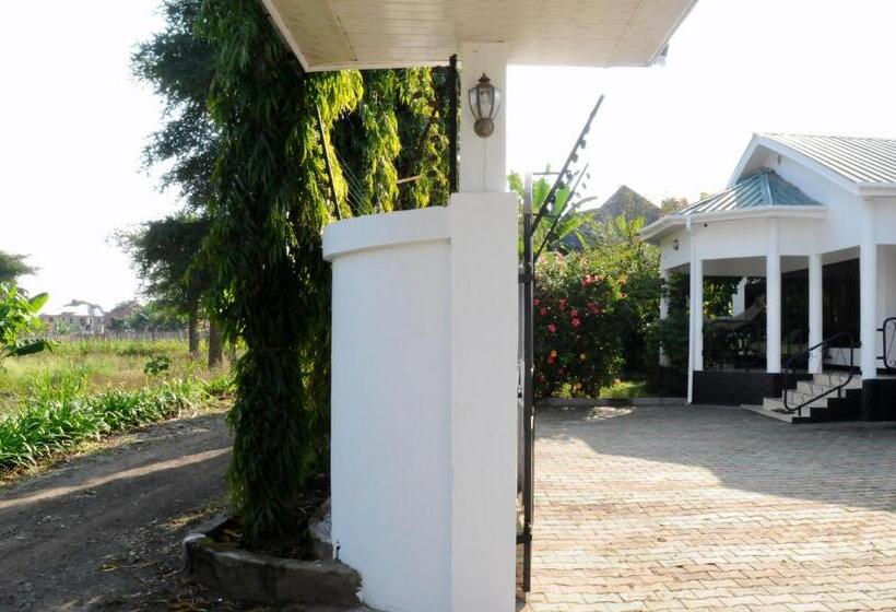 Пансион Oya Guest House