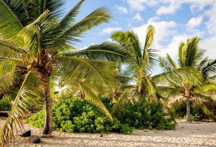 بنسيون Sunset Shores   Unit B Kaiupoho