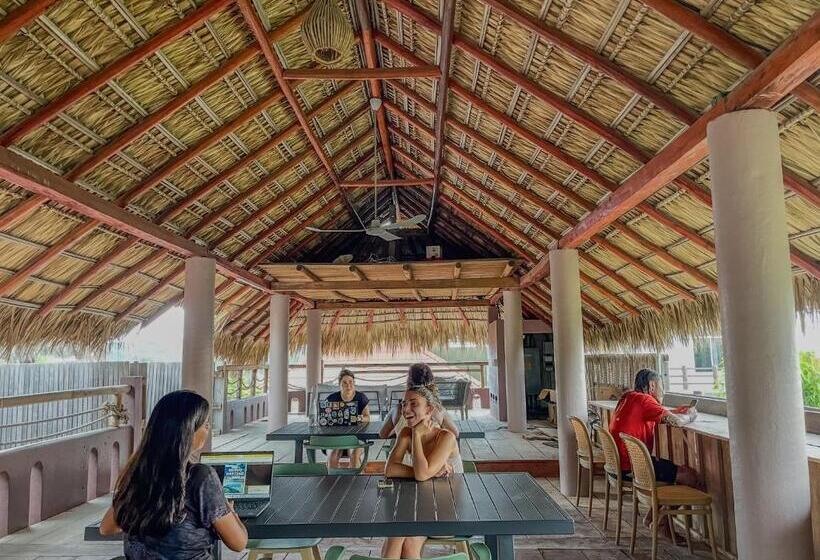 פנסיון Viajero Puerto Escondido Hostel