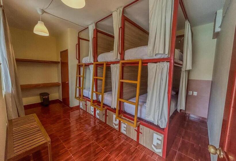 פנסיון Viajero Puerto Escondido Hostel