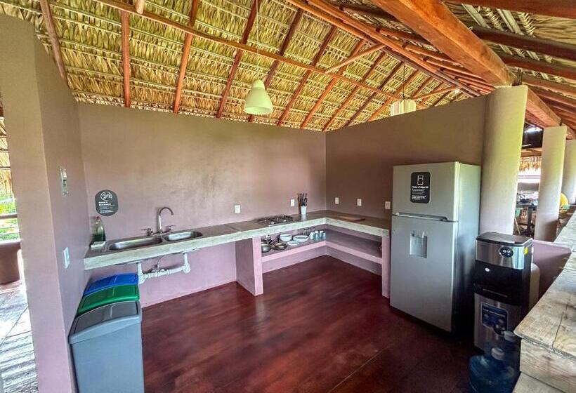 פנסיון Viajero Puerto Escondido Hostel