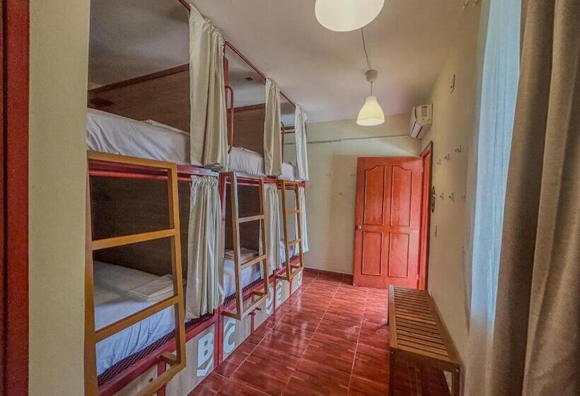 פנסיון Viajero Puerto Escondido Hostel