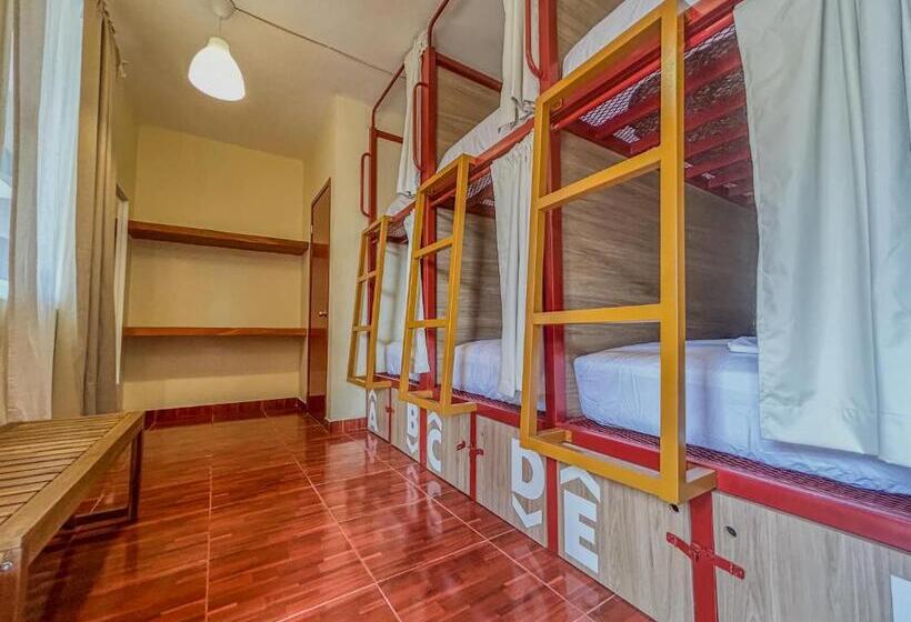 פנסיון Viajero Puerto Escondido Hostel