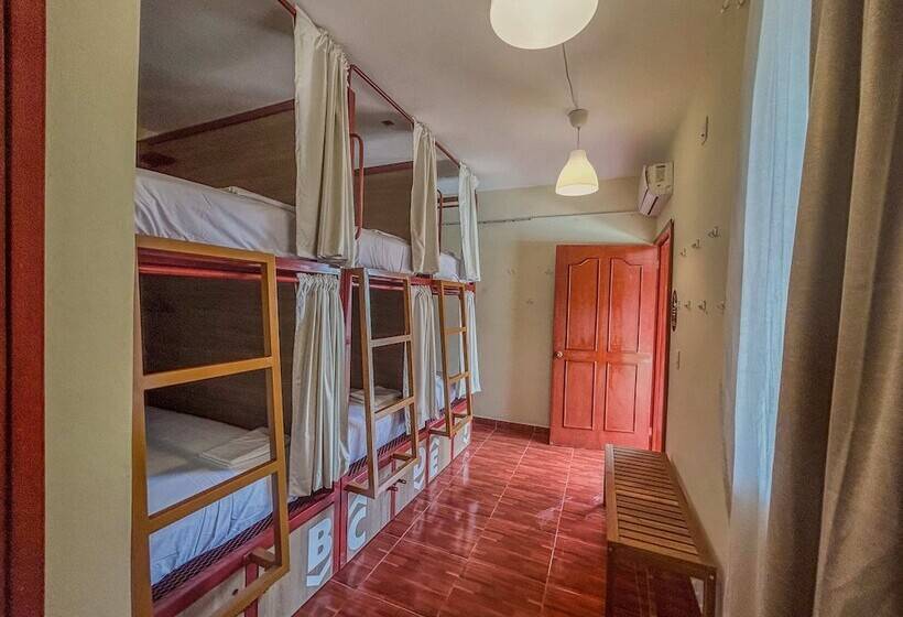 פנסיון Viajero Puerto Escondido Hostel