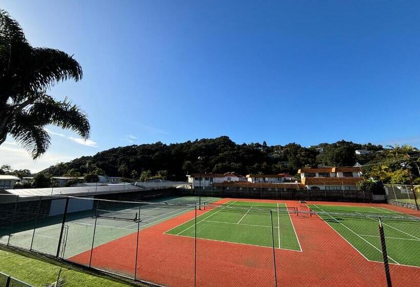 호스텔 Palm Tree Lodge & Backpackers