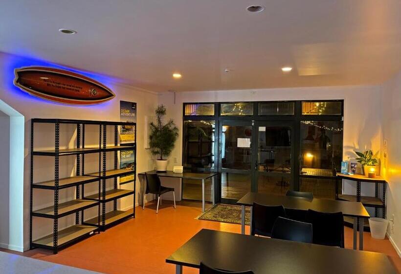 호스텔 Palm Tree Lodge & Backpackers