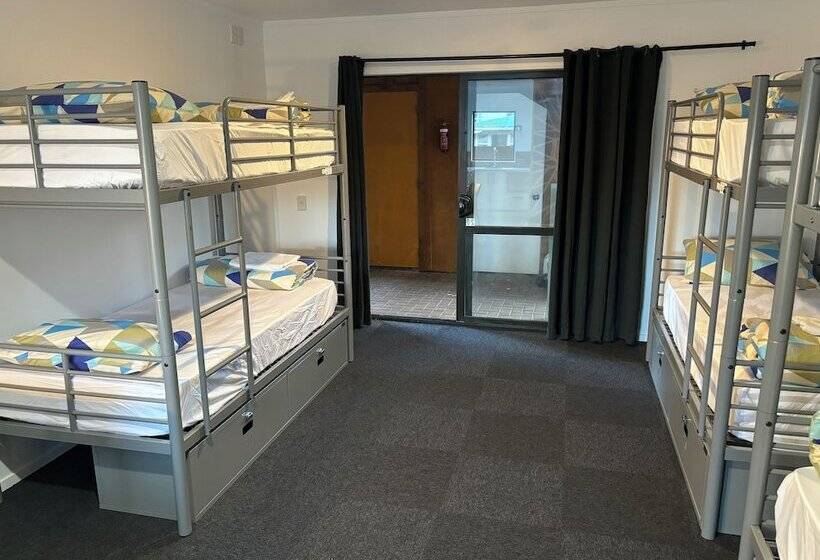 호스텔 Palm Tree Lodge & Backpackers