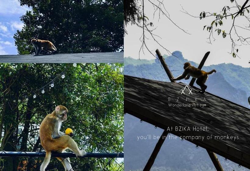 בית מלון כפרי Bzika Wonderland Retreat  Zhangjiajie National Forest Park Store