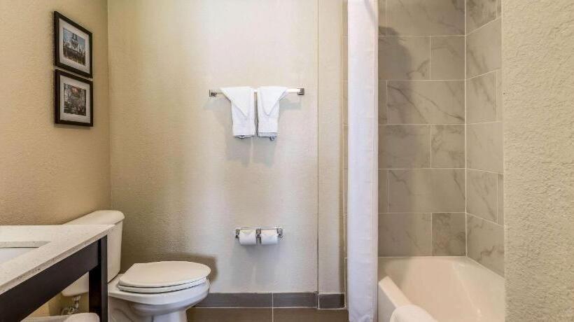 Отель Comfort Inn Downtown