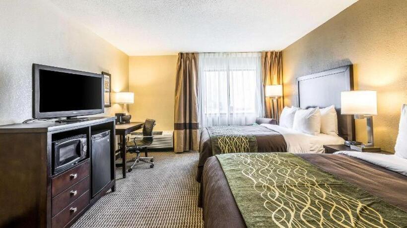 Отель Comfort Inn Downtown