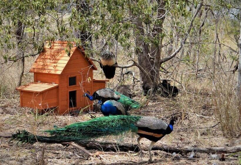 酒店 Lush Huts Glamping