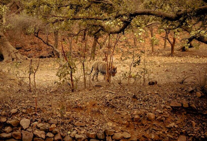 فندق Moustache Ranthambore Luxuria