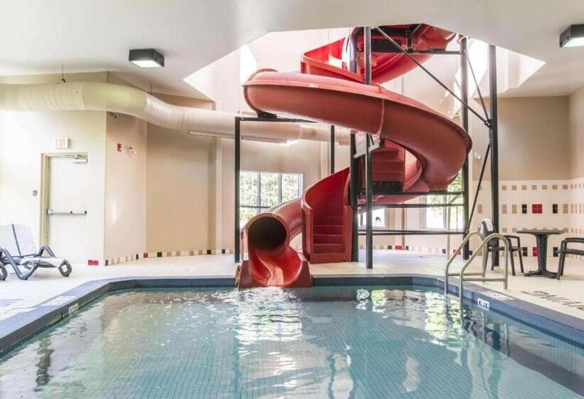 호텔 Quality Inn Airport