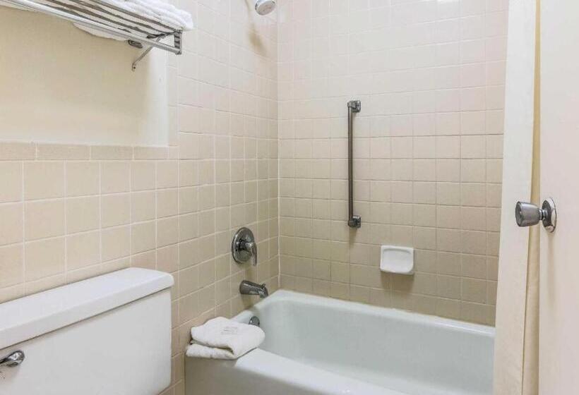 فندق Rodeway Inn And Suites Lakeland