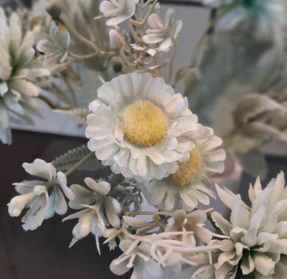 膳宿费 Nomads Nest