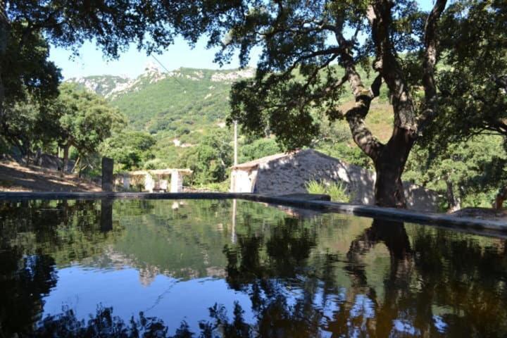 호스텔 Stazzo Gallurese