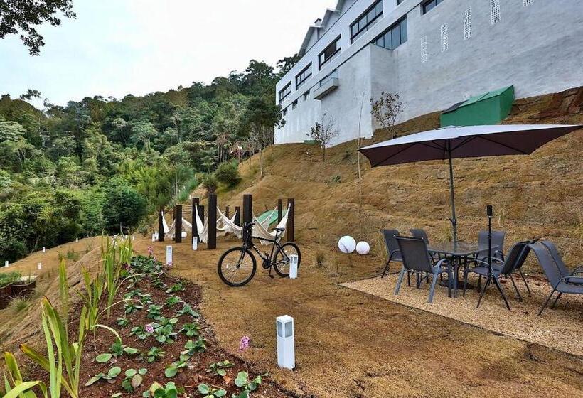 Apto Hotel Carpe Diem