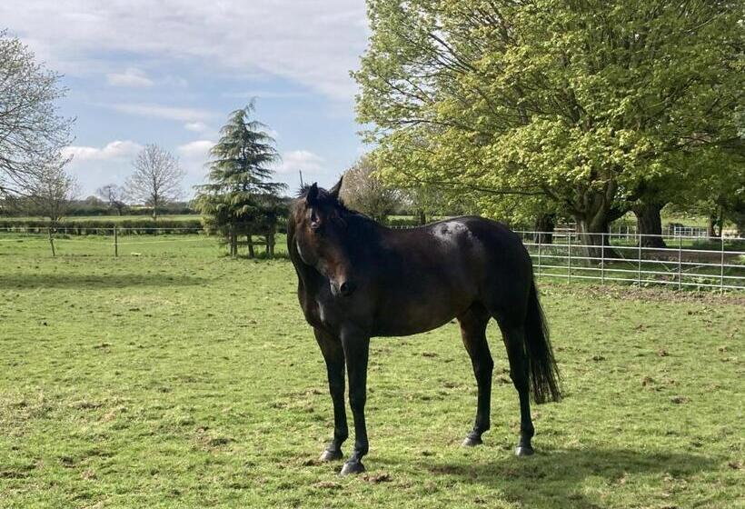 مبيت وإفطار Highfield Farm