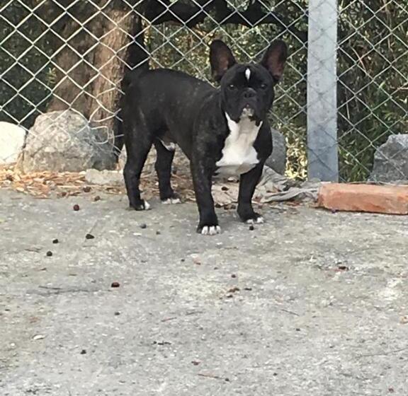فندق Agriturismo Fontana Del Milo