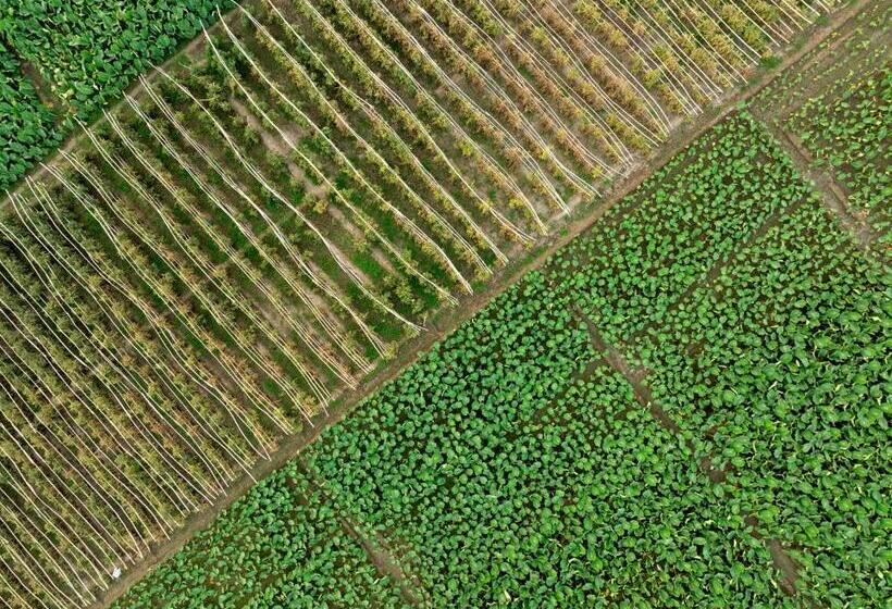 ホテル Amritara Olive Trotter, Nangal