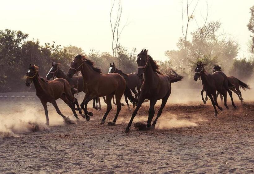 ホテル Amritara Olive Trotter, Nangal